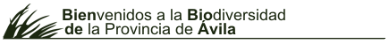 Fundaci&oacute;n Biodiversidad